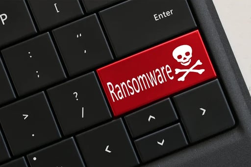 Ransomeware 101: How it Works and How to Protect Your Data